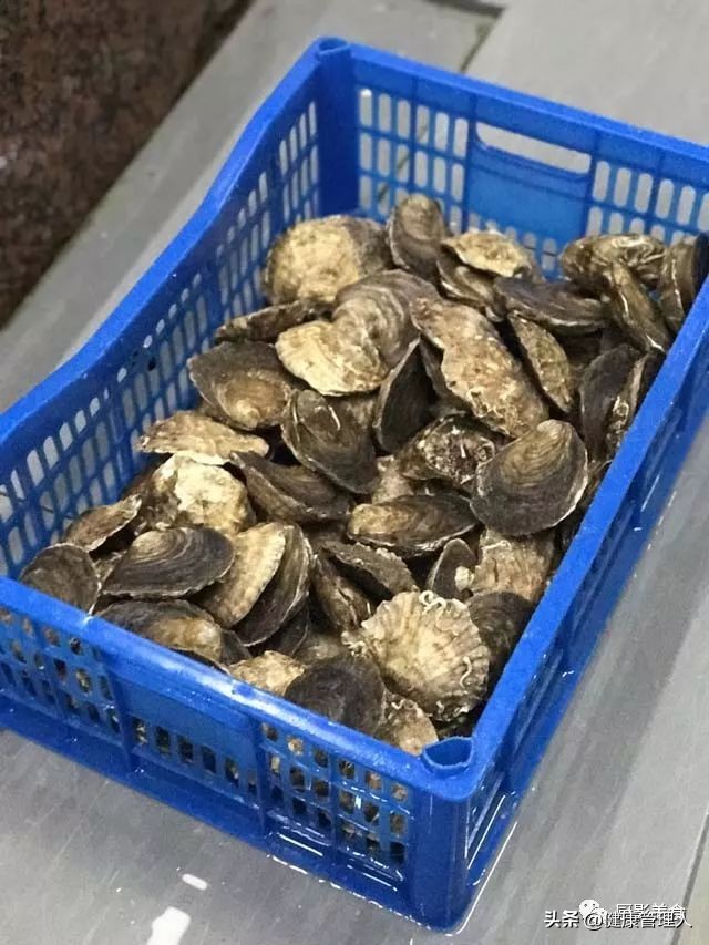 世界顶级海鲜食材,世界顶级的海鲜视频