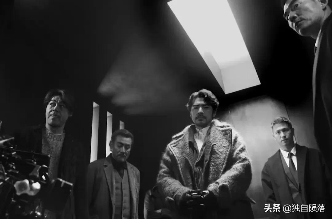 张震网飞高分剧排行榜,张震网飞