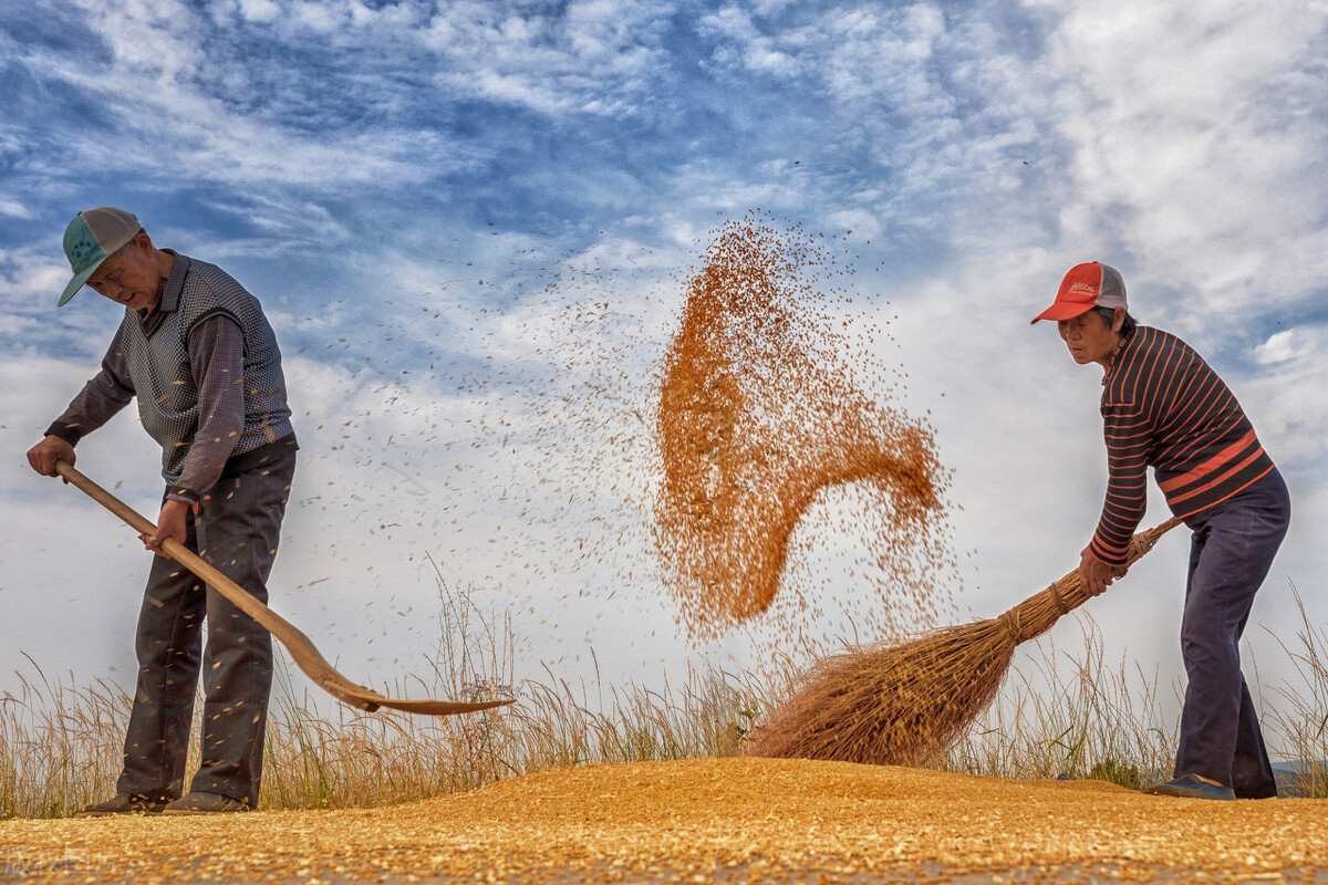 今日春分不负农时不负春,春分晴天有什么好的征兆