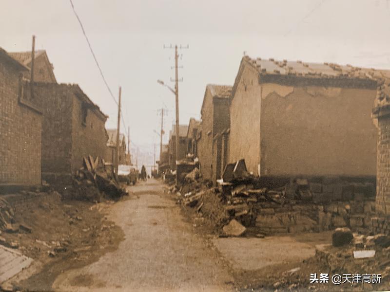 千问千寻大运河武清段,千问千寻大运河武清