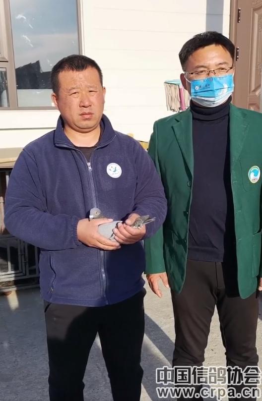 高分速高归巢！“世界杯”唐山阳光站第四关500公里比赛圆满收官