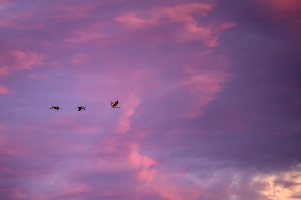 选择一款适合你的尼康相机,新手买什么尼康单反相机好