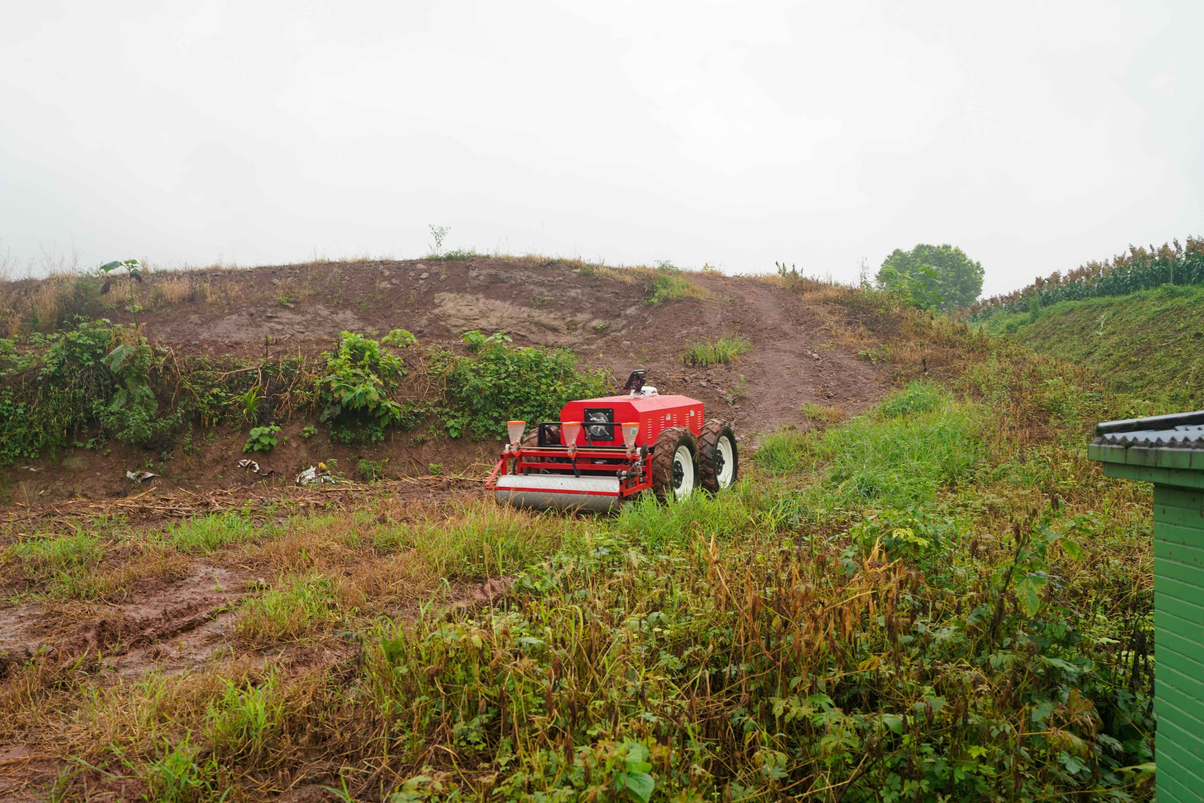 走进重庆现代农业高科技园区科技创新让农业“高大上”