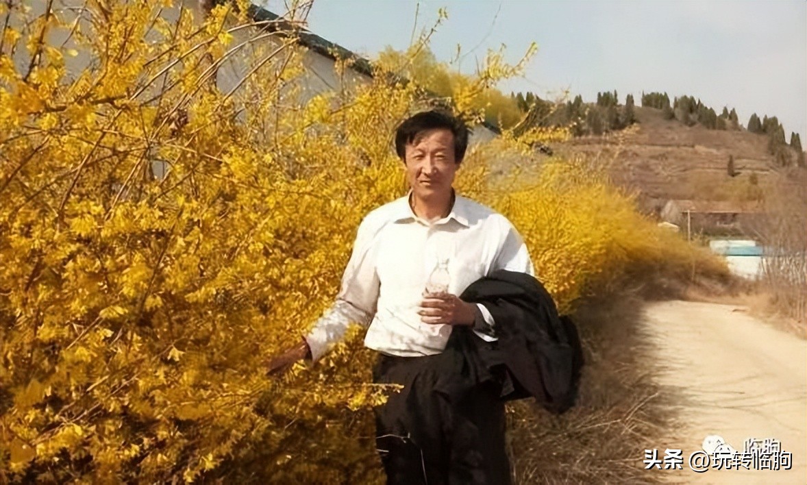 我家的电视自己打开,我家的电视