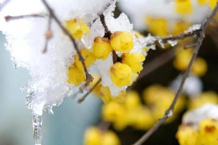 每日一句英语,每日一习