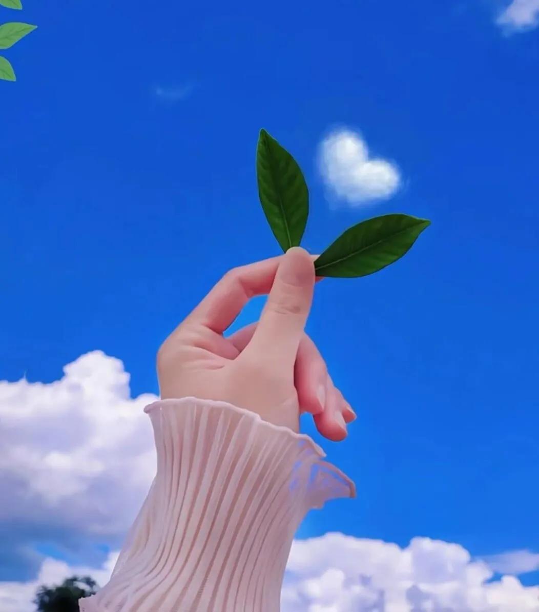 朋友圈背景图片合集,微信朋友圈背景壁纸