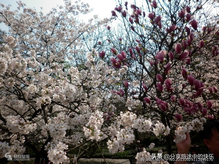 杭州到苏州寒山寺旅游攻略,去苏州寒山寺门票多少钱