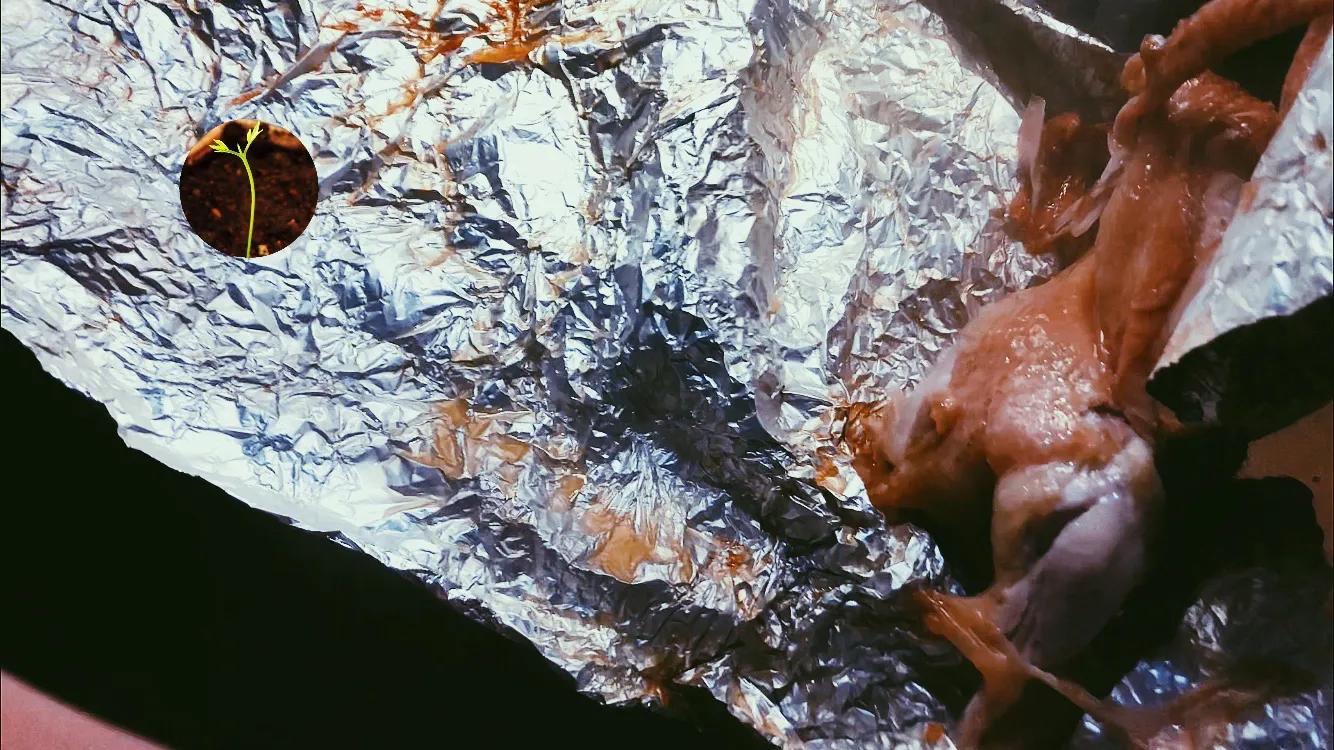 逃离都市，来场“造窑烩鸡”