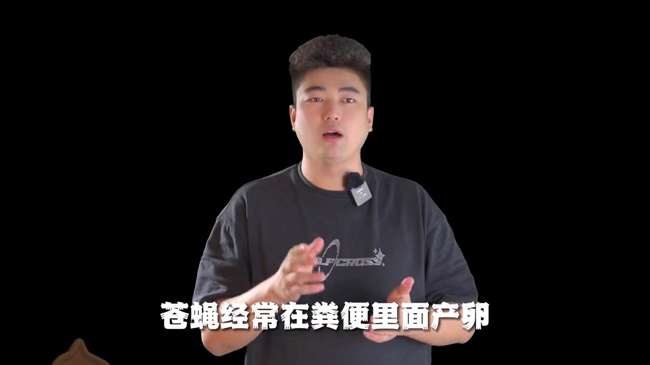 旺芙宠物护毛素,养宠家庭如何避免苍蝇