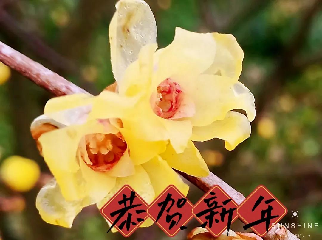 家有儿女初长成其实婚姻并不可怕,家有儿女初长成的家庭教育