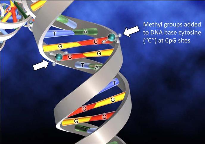 基因编辑治疗疾病具体操作,基因组学治疗疾病的方法