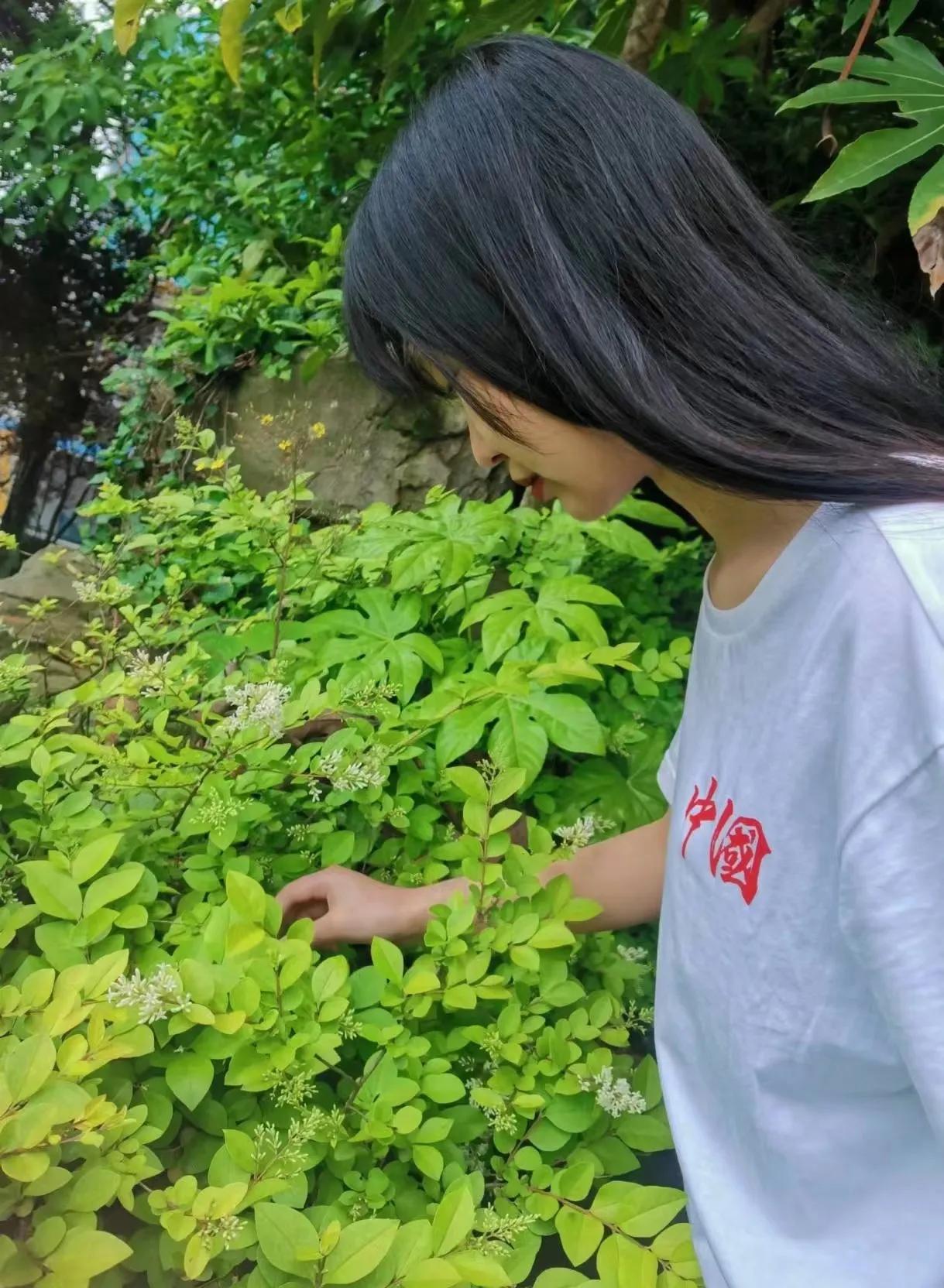 口红的制作方法简单又漂亮,口红的制作方法和全过程