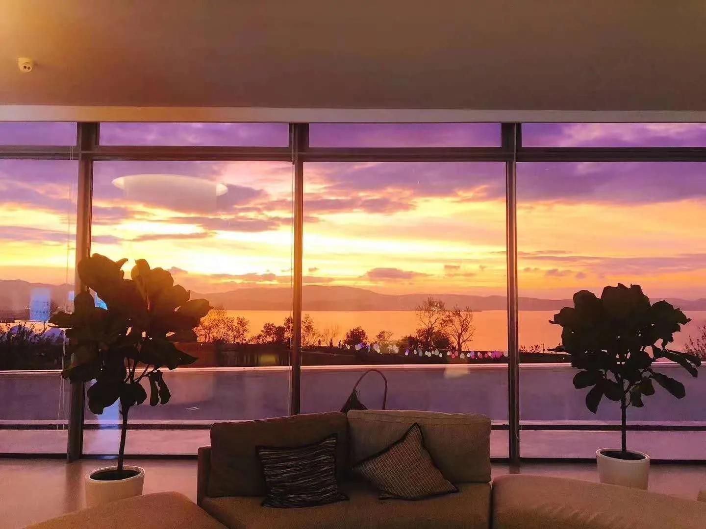 买房杀猪盘,买房之路夜不能寐