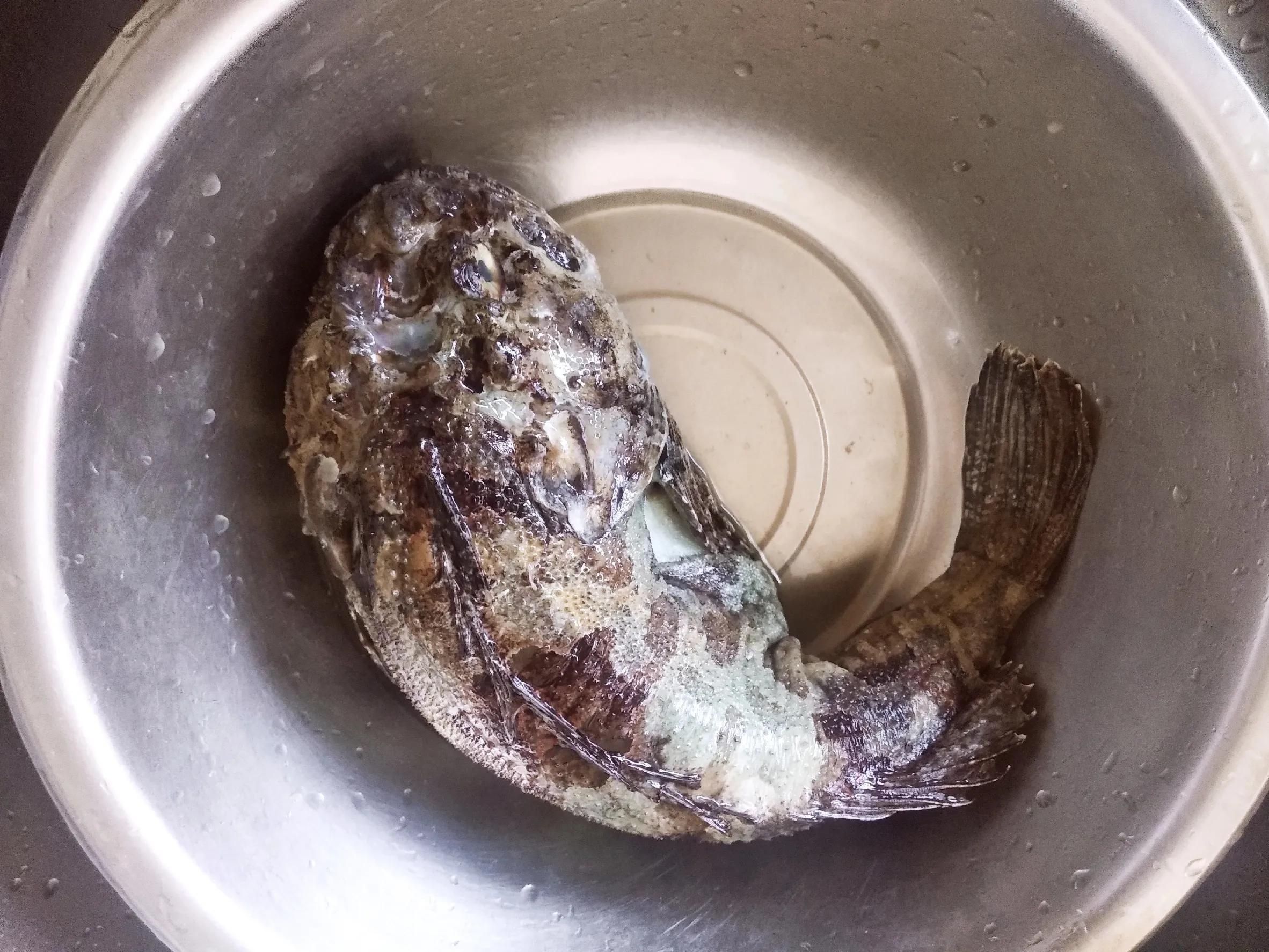 15种常见的海鱼,100种常见食用海鱼图谱