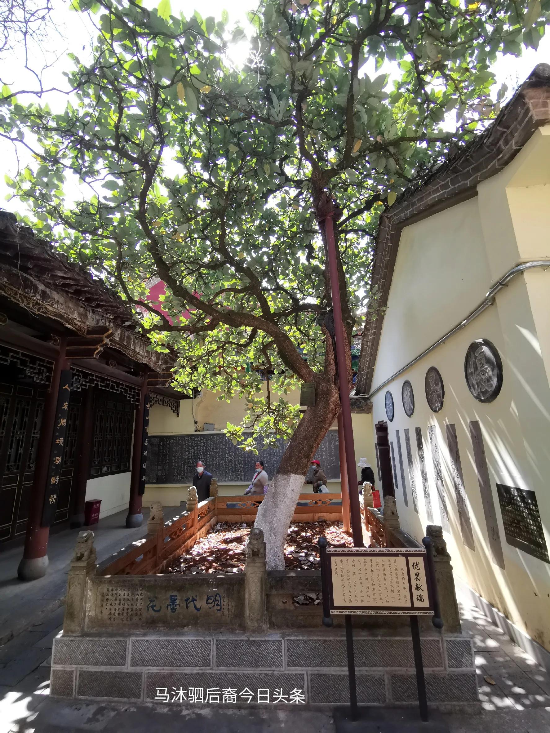 昆明昙华寺附近房价,昆明十一中到昙华寺