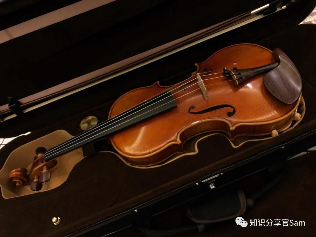 学音乐乐器的基础入门教程,音乐爱好者学的简单乐器