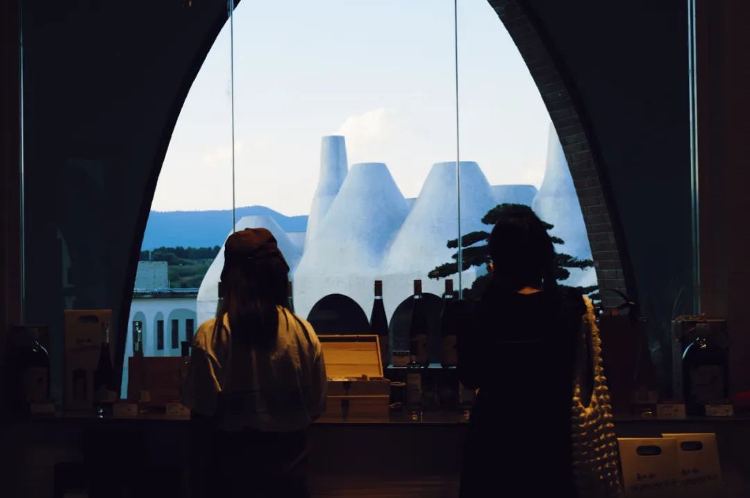 公司的旅游团建必须去吗,旅游团建机构有哪些好的