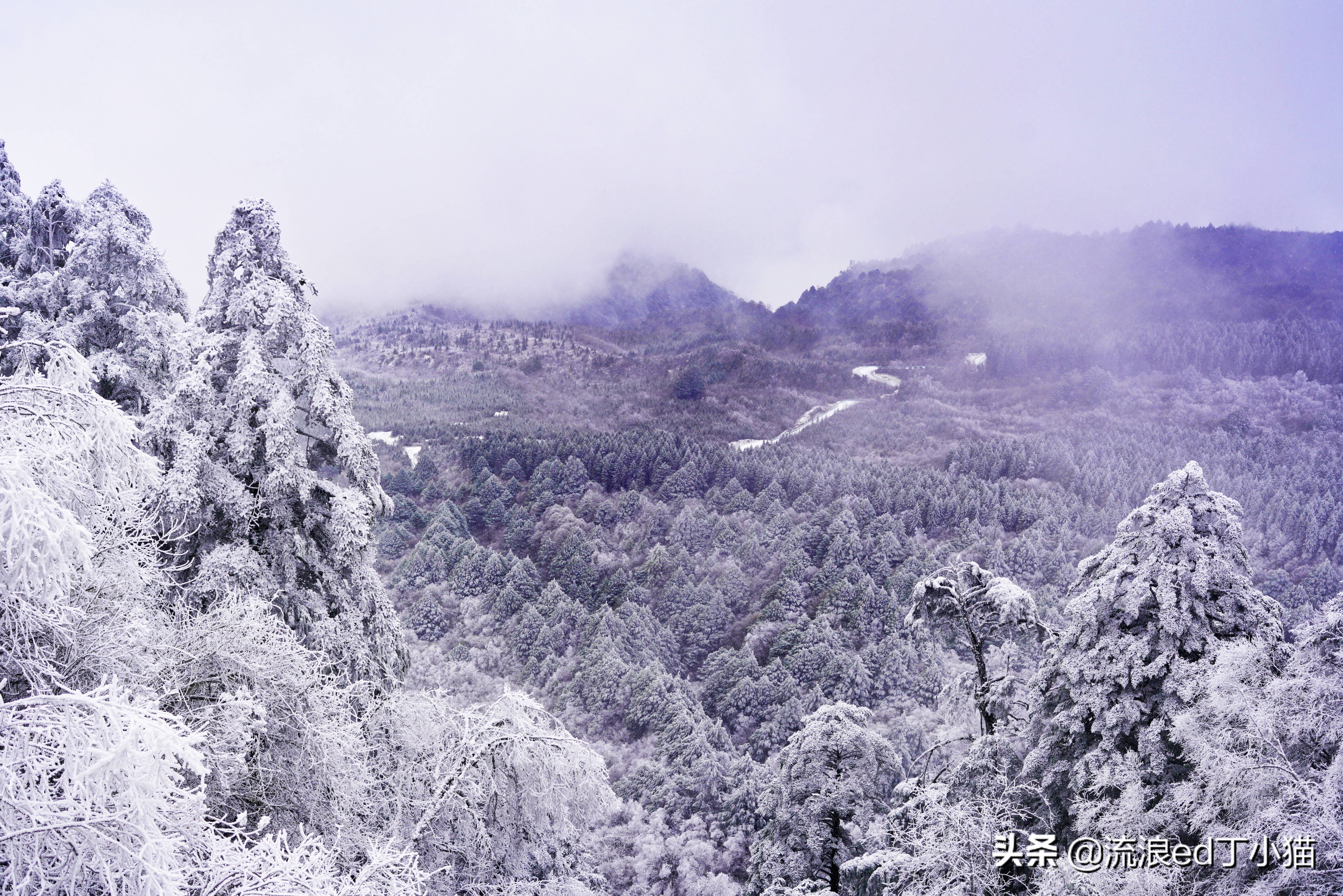 四川能玩滑雪的雪山,王岗坪贡嘎滑雪场