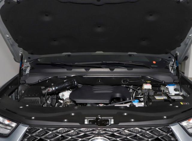 不足30万的大型皮卡,皮卡车可以拉货跟载人吗