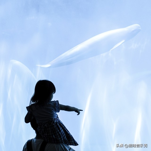 网红伤感情歌抖音神曲23首,抖音网红歌曲100首完整版