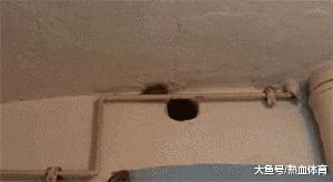 每日一笑：这个测试能说明什么？就这样怼十个手机都得破吧？