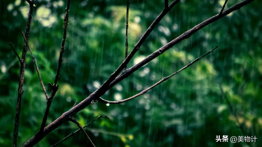 有意境的春天,有一种优雅的春天