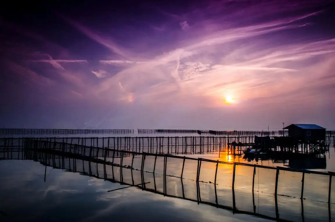 上海最美景点推荐,上海青浦淀山湖