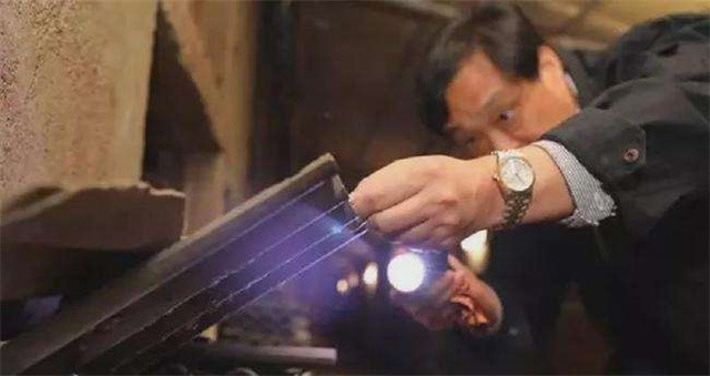 山东济南养殖蟑螂的李延荣,李延荣山东蟑螂处理垃圾第一人