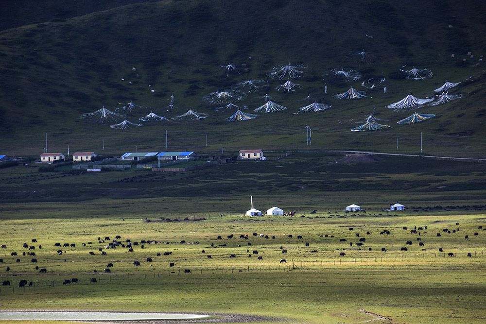 西部大草原旅游攻略,四川红原大草原自驾旅游攻略