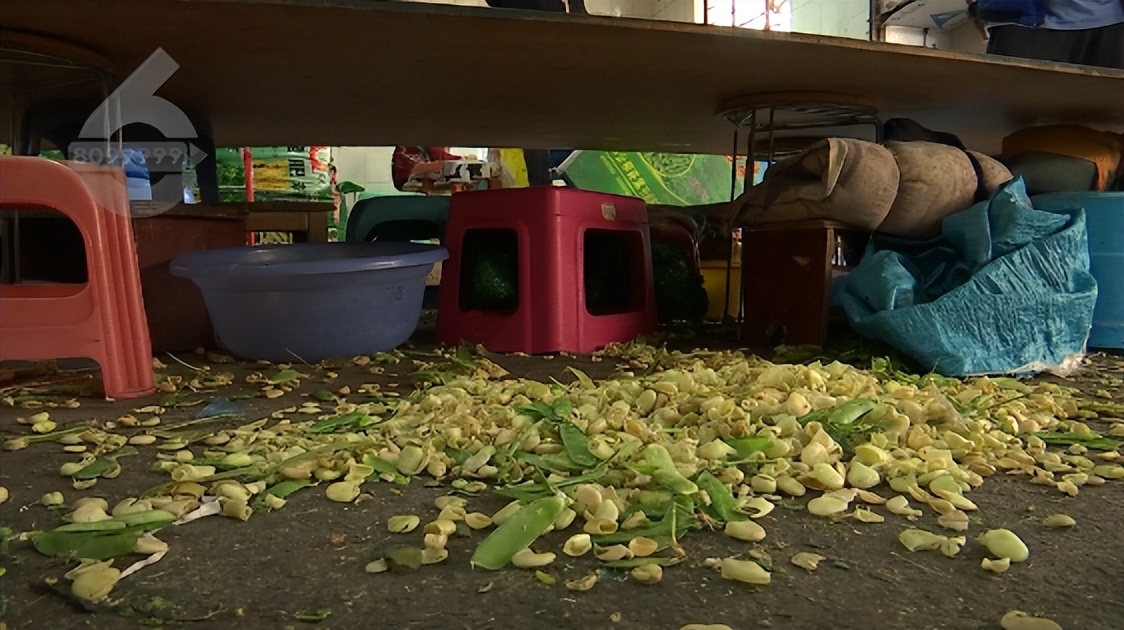 现剥蚕豆,脚踩酸菜视频被证实了吗