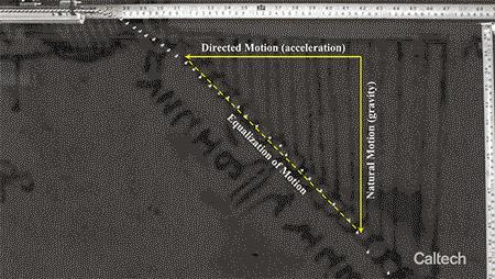 达芬奇是怎样一个天才,达芬奇天才与他的旷世杰作