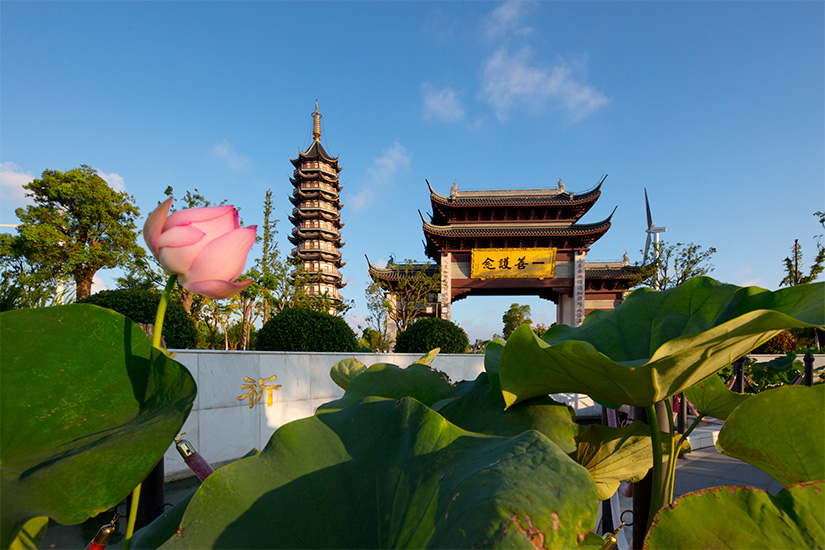 上海附近的寺庙旅游景点推荐,上海寺院旅游攻略路线