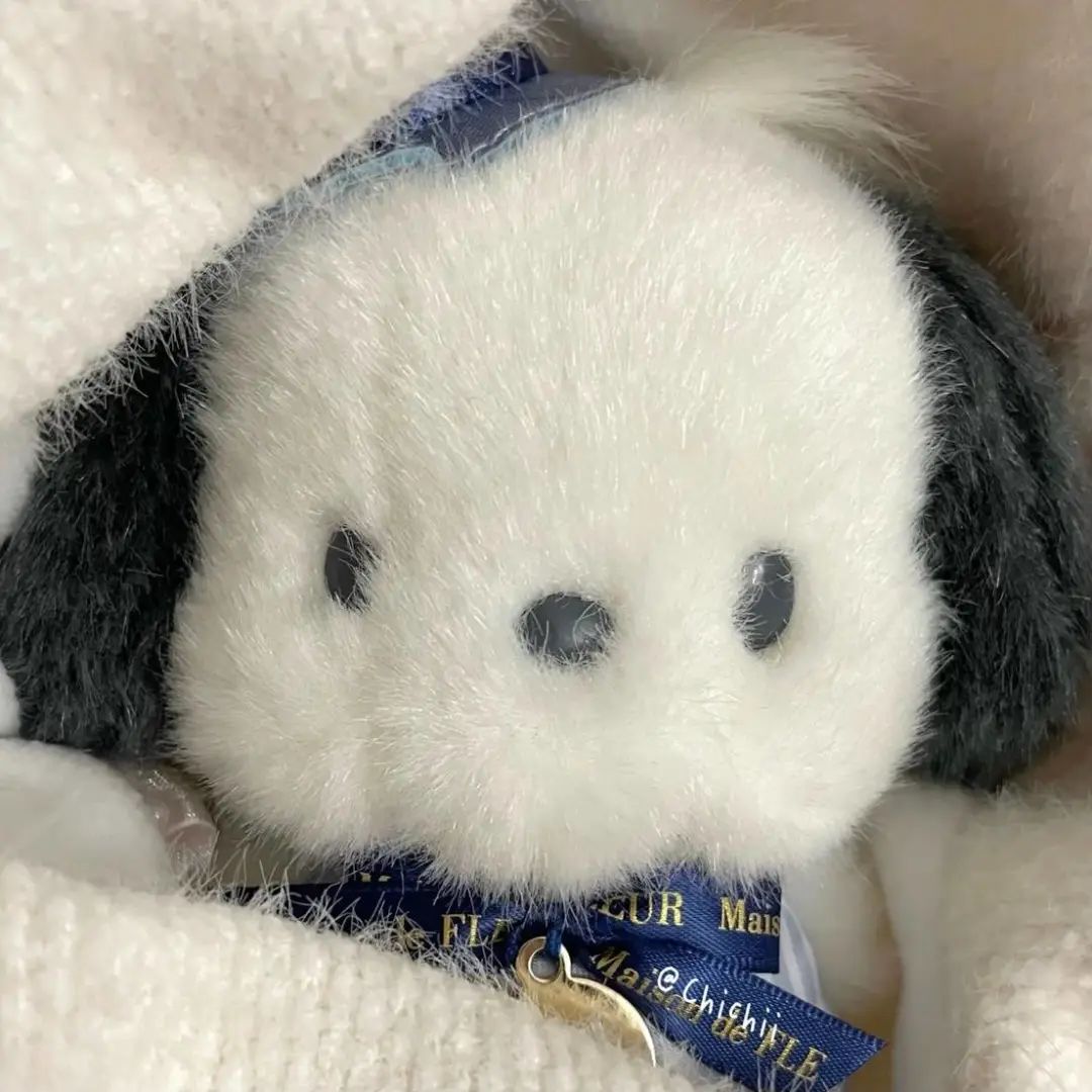 可可爱爱的宠物头像,可可爱爱小熊头像