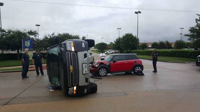 世界上最壮的牛照片,世界最壮的牛图片