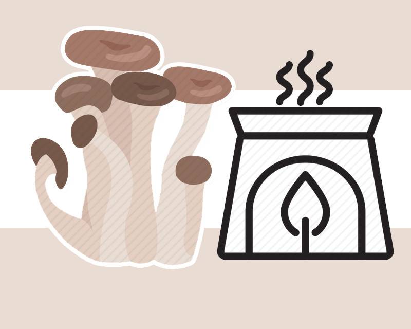 香菇的营养价值及功效与作用禁忌,香菇中哪种香菇的质量最佳