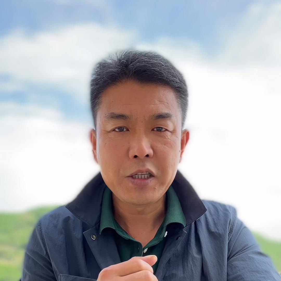 老胡说电影,老胡说车视频