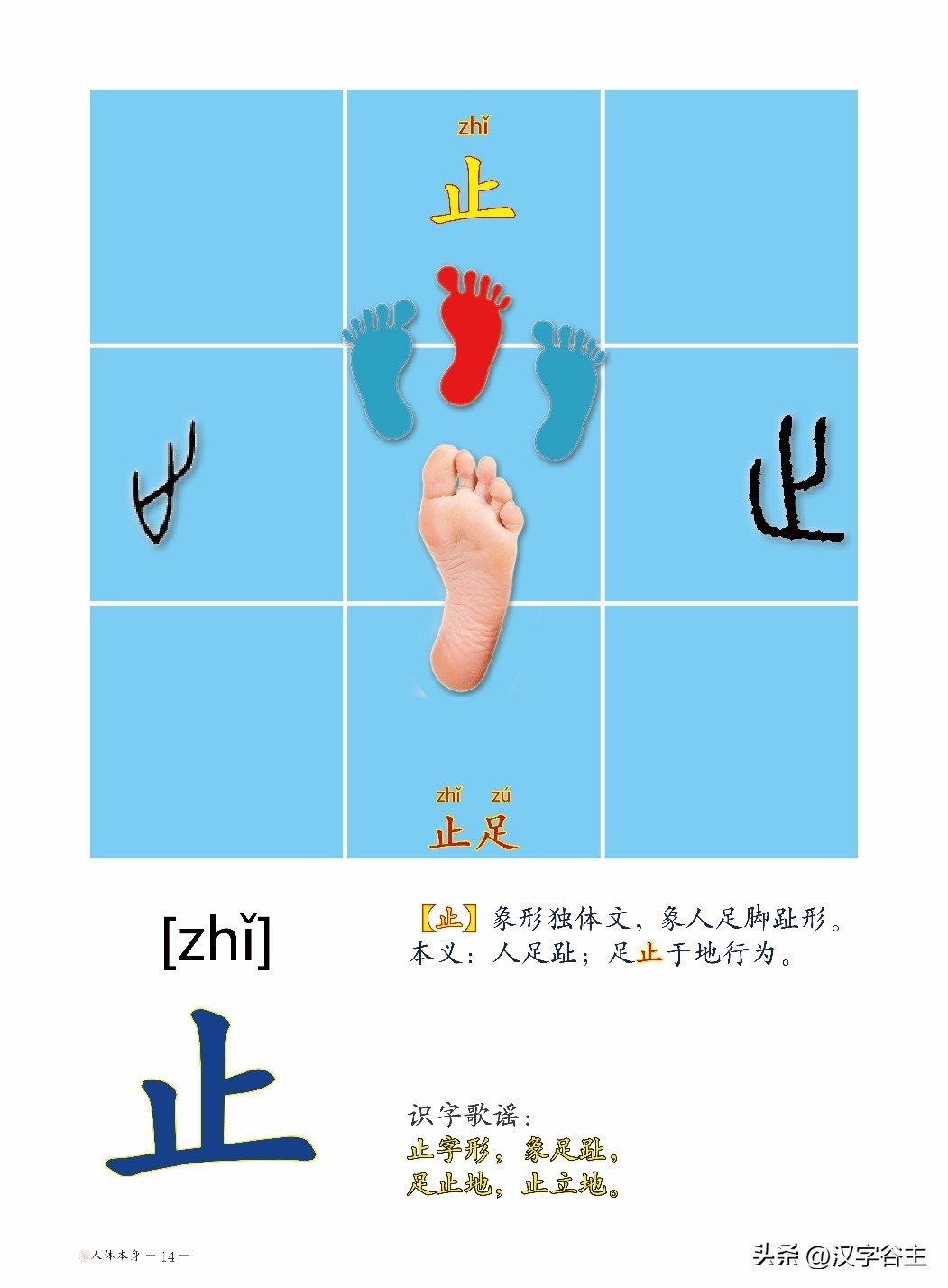 为孩子收藏280个成语,含有身体部位的成语100个