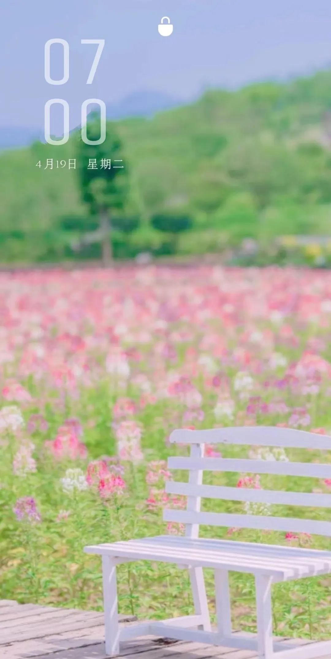 花田小镇爱丽丝,8000亩花田小镇