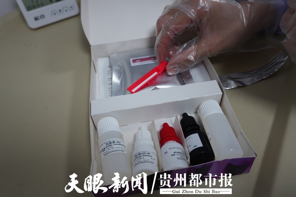 「天眼关注」春天里的“痛”，“过敏星人”才懂！医学专家：春季过敏可防可治