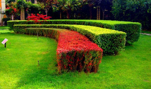 简述中国园林的特点,园林景观大揭秘