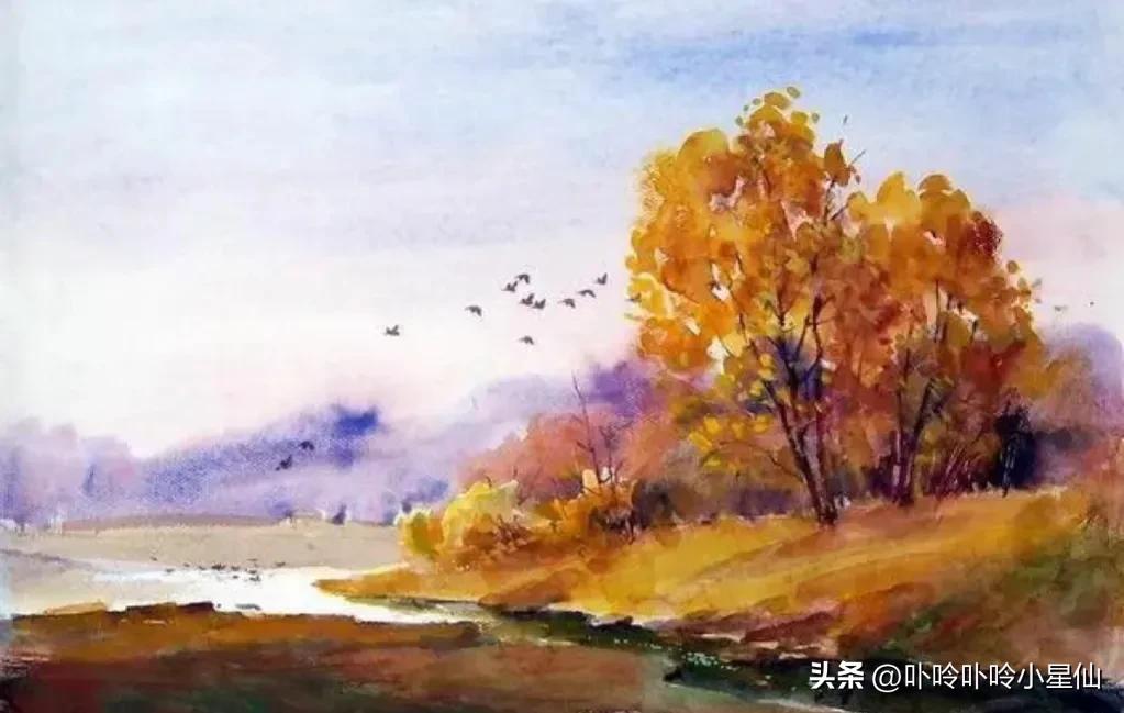 摩羯座2023年各月运势完整版,摩羯座2024年上半年运势完整版