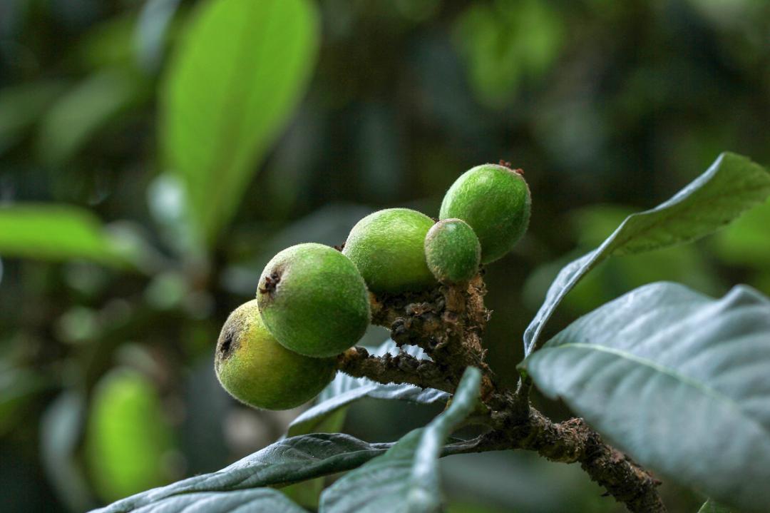 澶忓ぉ閫傚悎鍋氱殑鎵嬫寚鐢茬綉绾㈡,澶忔棩鎵嬫寚鐢叉寮忕綉绾㈡