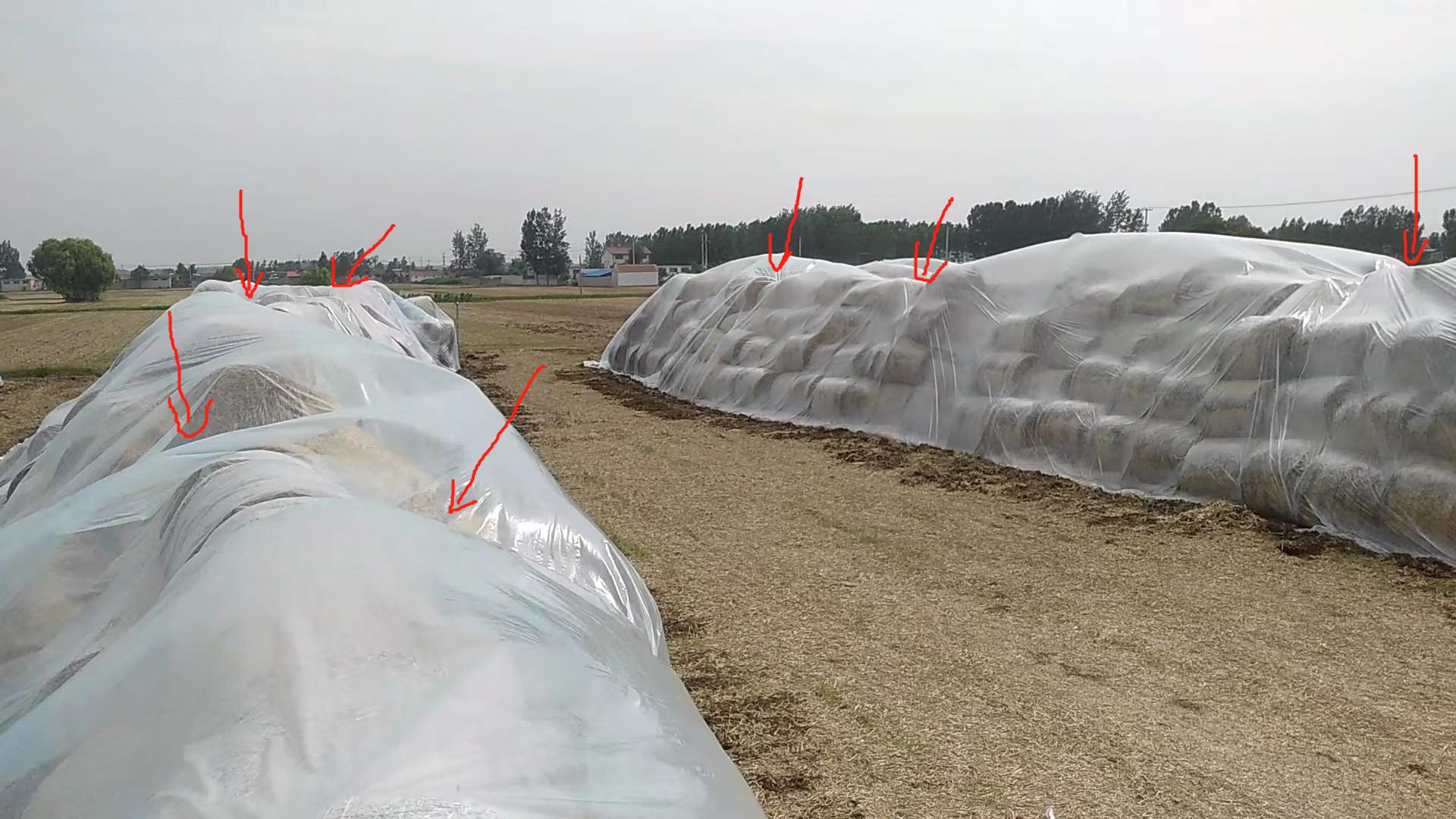 秸秆创业项目有哪些,秸秆利用创业的投入