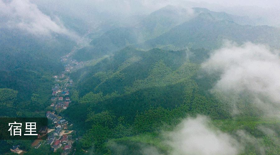 莫干山三天两晚绝美民宿,藏在莫干山的这家民宿真的美翻了