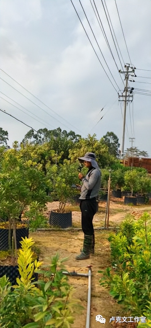 福建：向海而生（全文）