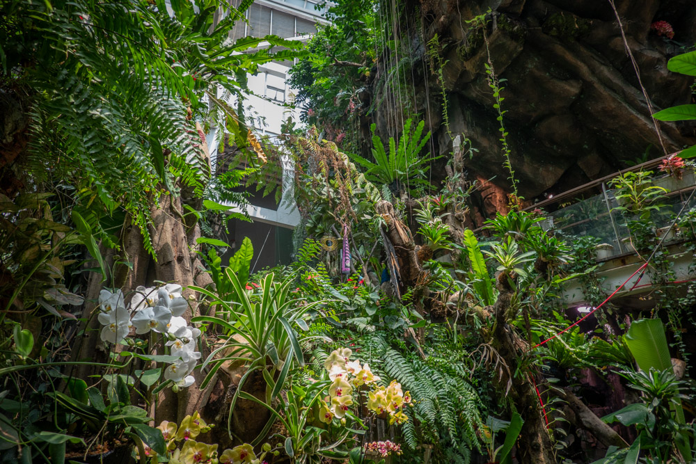 广州长隆野生动物园蛇之秘境,广州这个城市真的好繁华