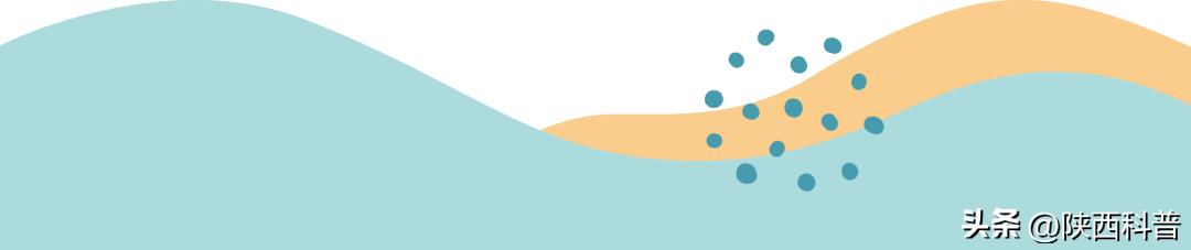 要闻|李豫琦出席首届中白农业科技创新合作论坛