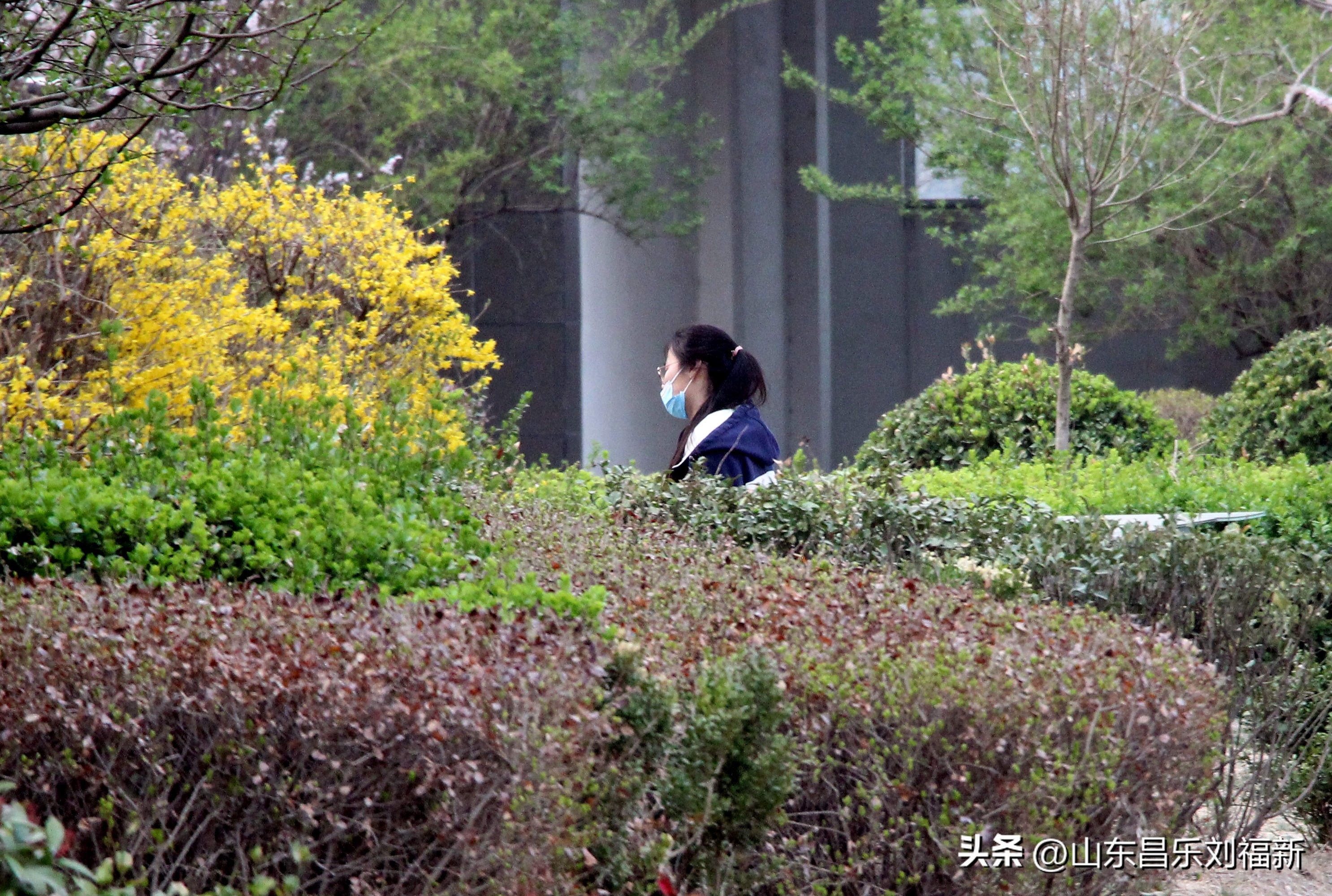 2023年3月中旬散拍·一点儿感受