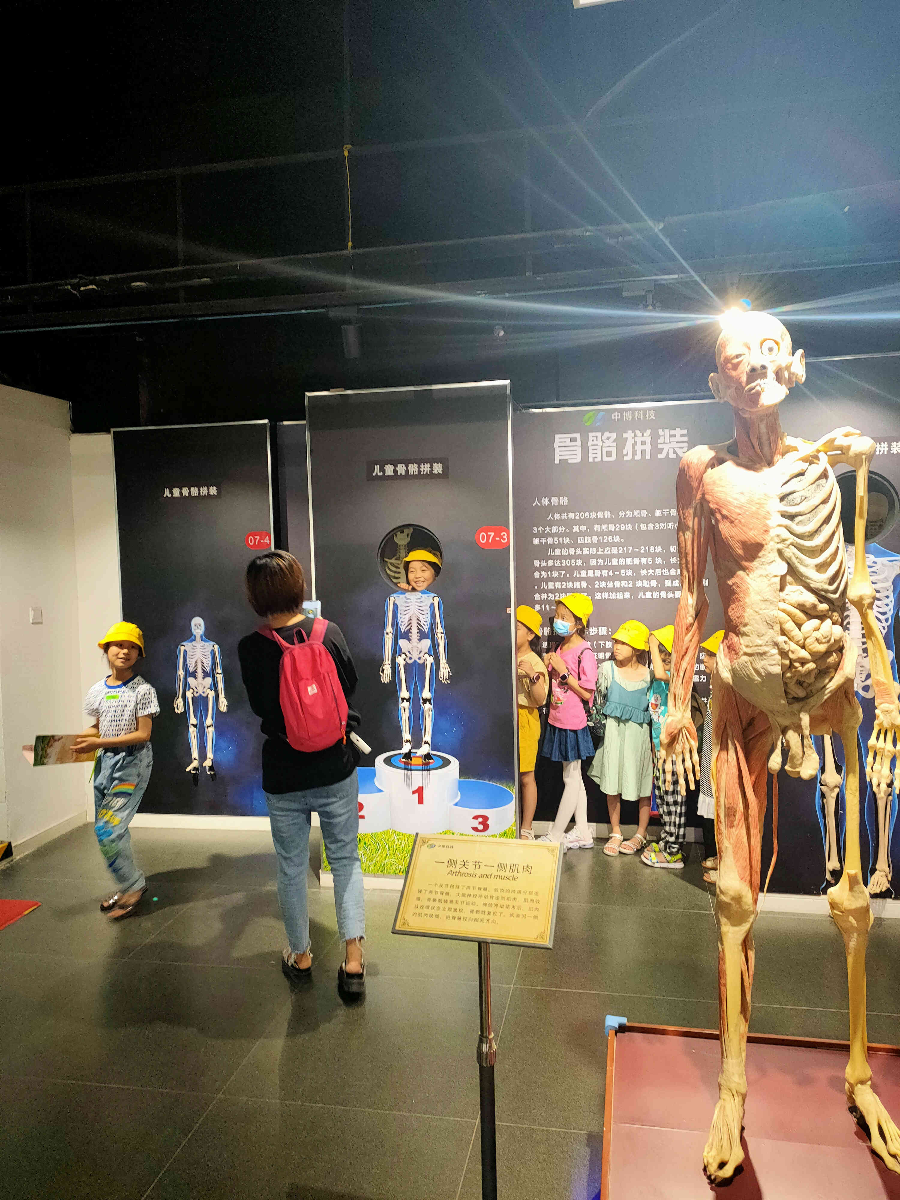 暑假旅游推荐郑州亲子游,端午带孩子去哪玩郑州周边