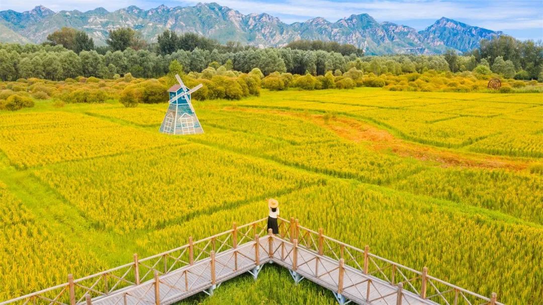 2020北京网红打卡地有哪些,2022北京市内打卡网红地